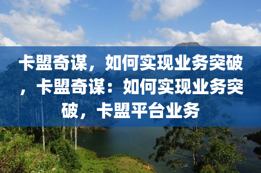 卡盟奇谋，如何实现业务突破，卡盟奇谋：如何实现业务突破，卡盟平台业务