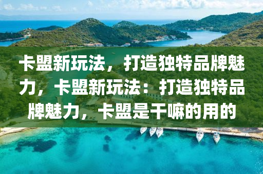 卡盟新玩法，打造独特品牌魅力，卡盟新玩法：打造独特品牌魅力，卡盟是干嘛的用的