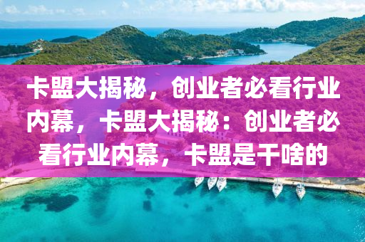 卡盟大揭秘，创业者必看行业内幕，卡盟大揭秘：创业者必看行业内幕，卡盟是干啥的