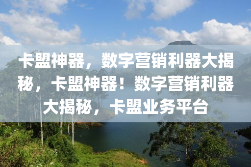 卡盟神器，数字营销利器大揭秘，卡盟神器！数字营销利器大揭秘，卡盟业务平台