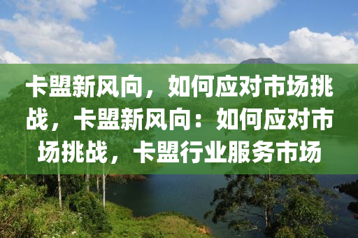 卡盟新风向，如何应对市场挑战，卡盟新风向：如何应对市场挑战，卡盟行业服务市场