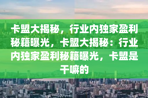 卡盟大揭秘，行业内独家盈利秘籍曝光，卡盟大揭秘：行业内独家盈利秘籍曝光，卡盟是干嘛的