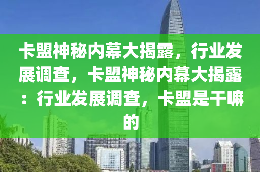 卡盟神秘内幕大揭露，行业发展调查，卡盟神秘内幕大揭露：行业发展调查，卡盟是干嘛的