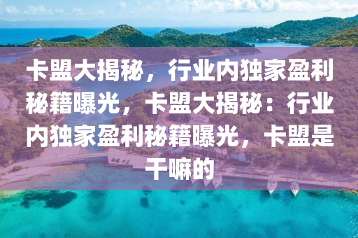 卡盟大揭秘，行业内独家盈利秘籍曝光，卡盟大揭秘：行业内独家盈利秘籍曝光，卡盟是干嘛的