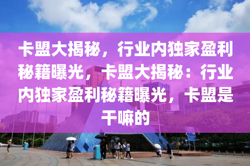 卡盟大揭秘，行业内独家盈利秘籍曝光，卡盟大揭秘：行业内独家盈利秘籍曝光，卡盟是干嘛的
