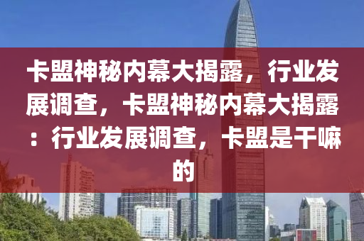 卡盟神秘内幕大揭露，行业发展调查，卡盟神秘内幕大揭露：行业发展调查，卡盟是干嘛的