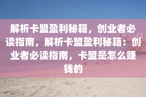 解析卡盟盈利秘籍，创业者必读指南，解析卡盟盈利秘籍：创业者必读指南，卡盟是怎么赚钱的
