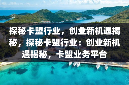 探秘卡盟行业，创业新机遇揭秘，探秘卡盟行业：创业新机遇揭秘，卡盟业务平台