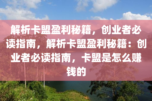 解析卡盟盈利秘籍，创业者必读指南，解析卡盟盈利秘籍：创业者必读指南，卡盟是怎么赚钱的