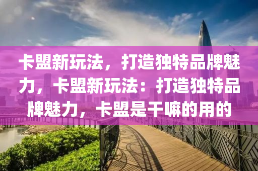 卡盟新玩法，打造独特品牌魅力，卡盟新玩法：打造独特品牌魅力，卡盟是干嘛的用的