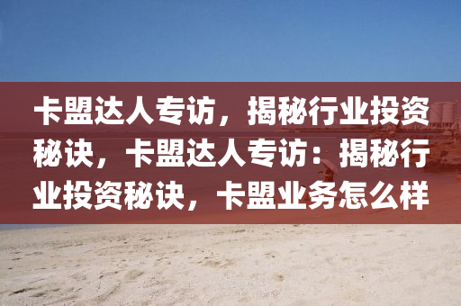卡盟达人专访，揭秘行业投资秘诀，卡盟达人专访：揭秘行业投资秘诀，卡盟业务怎么样