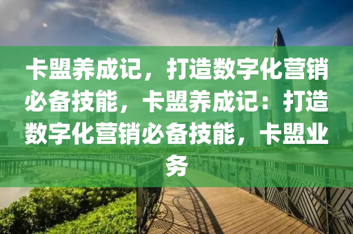 卡盟养成记，打造数字化营销必备技能，卡盟养成记：打造数字化营销必备技能，卡盟业务