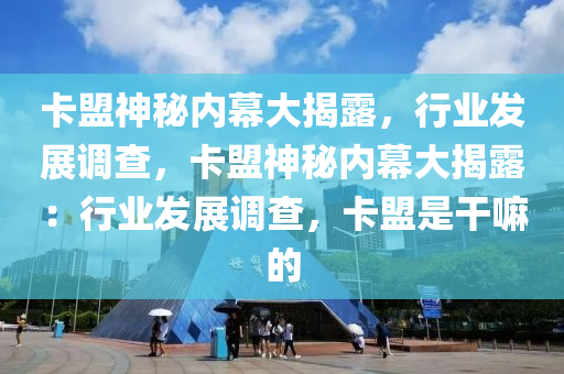 卡盟神秘内幕大揭露，行业发展调查，卡盟神秘内幕大揭露：行业发展调查，卡盟是干嘛的