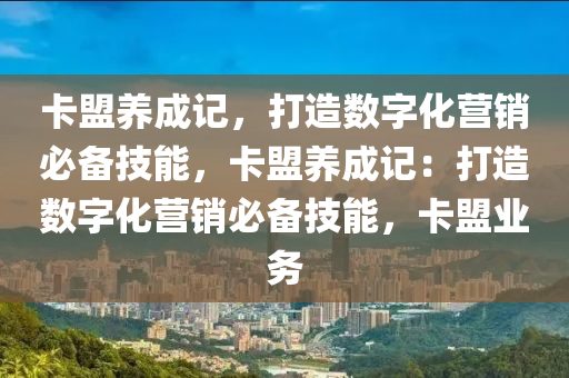 卡盟养成记，打造数字化营销必备技能，卡盟养成记：打造数字化营销必备技能，卡盟业务
