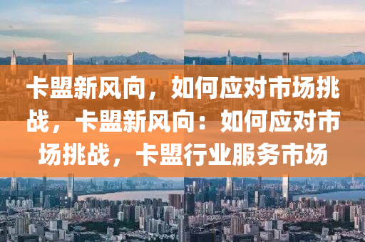 卡盟新风向，如何应对市场挑战，卡盟新风向：如何应对市场挑战，卡盟行业服务市场