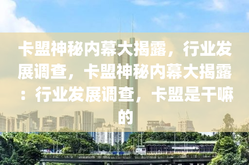 卡盟神秘内幕大揭露，行业发展调查，卡盟神秘内幕大揭露：行业发展调查，卡盟是干嘛的