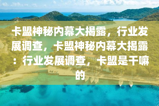 卡盟神秘内幕大揭露，行业发展调查，卡盟神秘内幕大揭露：行业发展调查，卡盟是干嘛的