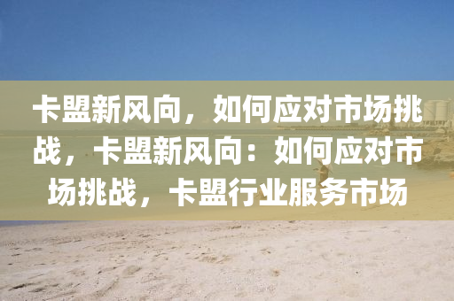 卡盟新风向，如何应对市场挑战，卡盟新风向：如何应对市场挑战，卡盟行业服务市场