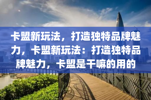 卡盟新玩法，打造独特品牌魅力，卡盟新玩法：打造独特品牌魅力，卡盟是干嘛的用的