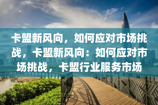 卡盟新风向，如何应对市场挑战，卡盟新风向：如何应对市场挑战，卡盟行业服务市场