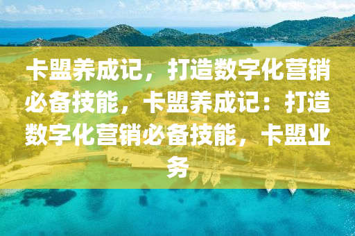 卡盟养成记，打造数字化营销必备技能，卡盟养成记：打造数字化营销必备技能，卡盟业务