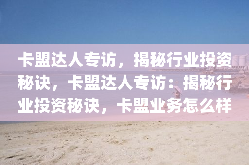 卡盟达人专访，揭秘行业投资秘诀，卡盟达人专访：揭秘行业投资秘诀，卡盟业务怎么样