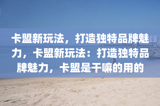 卡盟新玩法，打造独特品牌魅力，卡盟新玩法：打造独特品牌魅力，卡盟是干嘛的用的