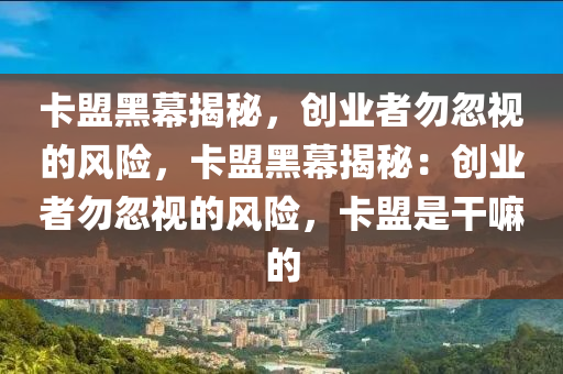 卡盟黑幕揭秘，创业者勿忽视的风险，卡盟黑幕揭秘：创业者勿忽视的风险，卡盟是干嘛的