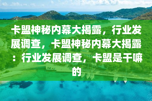 卡盟神秘内幕大揭露，行业发展调查，卡盟神秘内幕大揭露：行业发展调查，卡盟是干嘛的