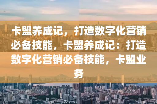 卡盟养成记，打造数字化营销必备技能，卡盟养成记：打造数字化营销必备技能，卡盟业务