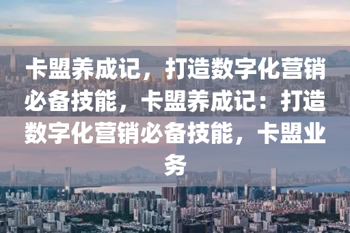 卡盟养成记，打造数字化营销必备技能，卡盟养成记：打造数字化营销必备技能，卡盟业务