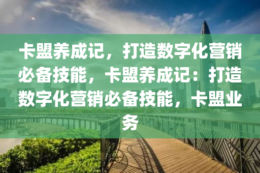 卡盟养成记，打造数字化营销必备技能，卡盟养成记：打造数字化营销必备技能，卡盟业务