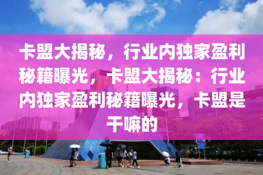 卡盟大揭秘，行业内独家盈利秘籍曝光，卡盟大揭秘：行业内独家盈利秘籍曝光，卡盟是干嘛的
