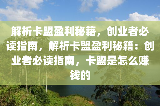 解析卡盟盈利秘籍，创业者必读指南，解析卡盟盈利秘籍：创业者必读指南，卡盟是怎么赚钱的