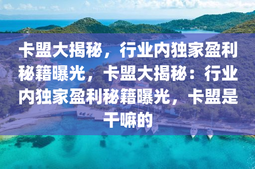 卡盟大揭秘，行业内独家盈利秘籍曝光，卡盟大揭秘：行业内独家盈利秘籍曝光，卡盟是干嘛的