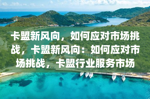 卡盟新风向，如何应对市场挑战，卡盟新风向：如何应对市场挑战，卡盟行业服务市场