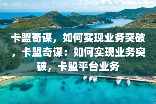 卡盟奇谋，如何实现业务突破，卡盟奇谋：如何实现业务突破，卡盟平台业务