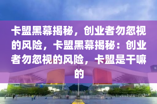 卡盟黑幕揭秘，创业者勿忽视的风险，卡盟黑幕揭秘：创业者勿忽视的风险，卡盟是干嘛的
