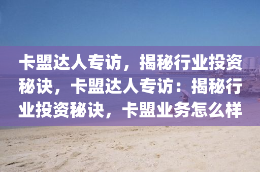 卡盟达人专访，揭秘行业投资秘诀，卡盟达人专访：揭秘行业投资秘诀，卡盟业务怎么样