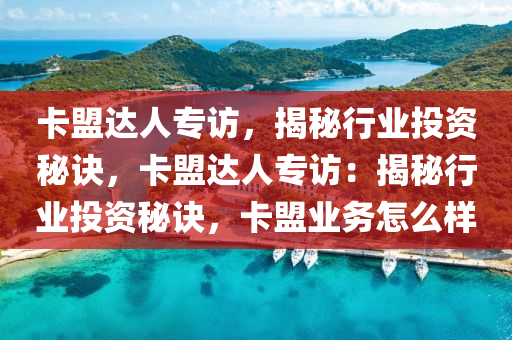 卡盟达人专访，揭秘行业投资秘诀，卡盟达人专访：揭秘行业投资秘诀，卡盟业务怎么样
