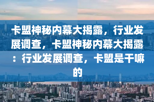卡盟神秘内幕大揭露，行业发展调查，卡盟神秘内幕大揭露：行业发展调查，卡盟是干嘛的