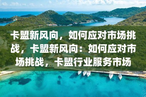 卡盟新风向，如何应对市场挑战，卡盟新风向：如何应对市场挑战，卡盟行业服务市场