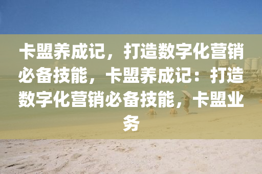 卡盟养成记，打造数字化营销必备技能，卡盟养成记：打造数字化营销必备技能，卡盟业务