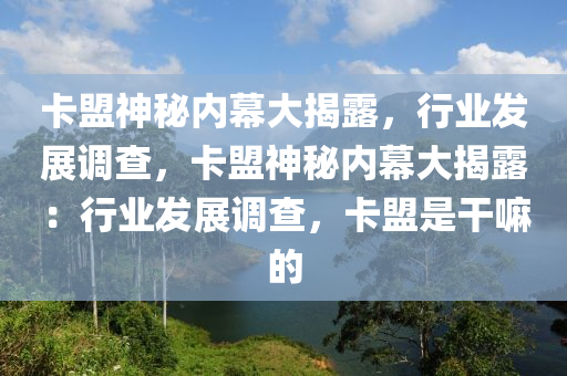 卡盟神秘内幕大揭露，行业发展调查，卡盟神秘内幕大揭露：行业发展调查，卡盟是干嘛的