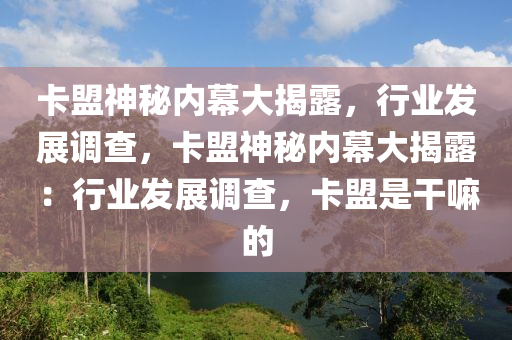 卡盟神秘内幕大揭露，行业发展调查，卡盟神秘内幕大揭露：行业发展调查，卡盟是干嘛的