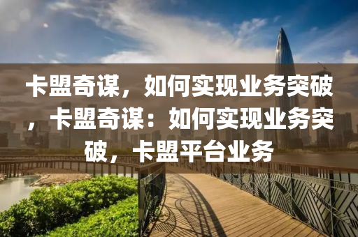 卡盟奇谋，如何实现业务突破，卡盟奇谋：如何实现业务突破，卡盟平台业务