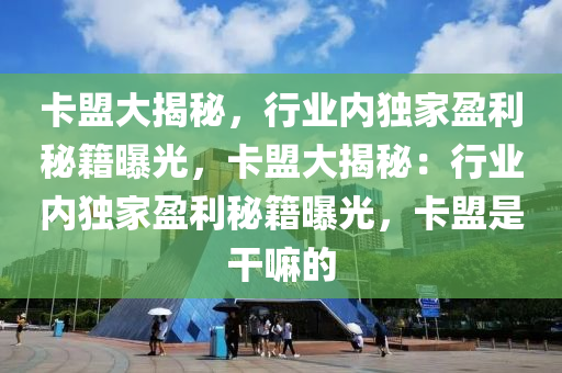 卡盟大揭秘，行业内独家盈利秘籍曝光，卡盟大揭秘：行业内独家盈利秘籍曝光，卡盟是干嘛的