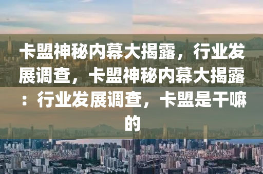 卡盟神秘内幕大揭露，行业发展调查，卡盟神秘内幕大揭露：行业发展调查，卡盟是干嘛的