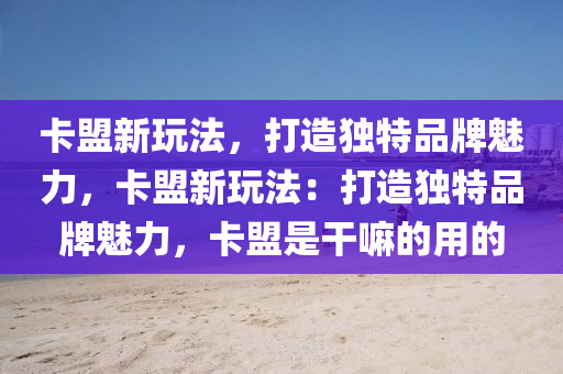 卡盟新玩法，打造独特品牌魅力，卡盟新玩法：打造独特品牌魅力，卡盟是干嘛的用的
