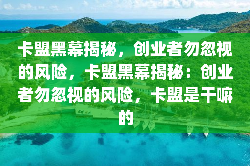 卡盟黑幕揭秘，创业者勿忽视的风险，卡盟黑幕揭秘：创业者勿忽视的风险，卡盟是干嘛的